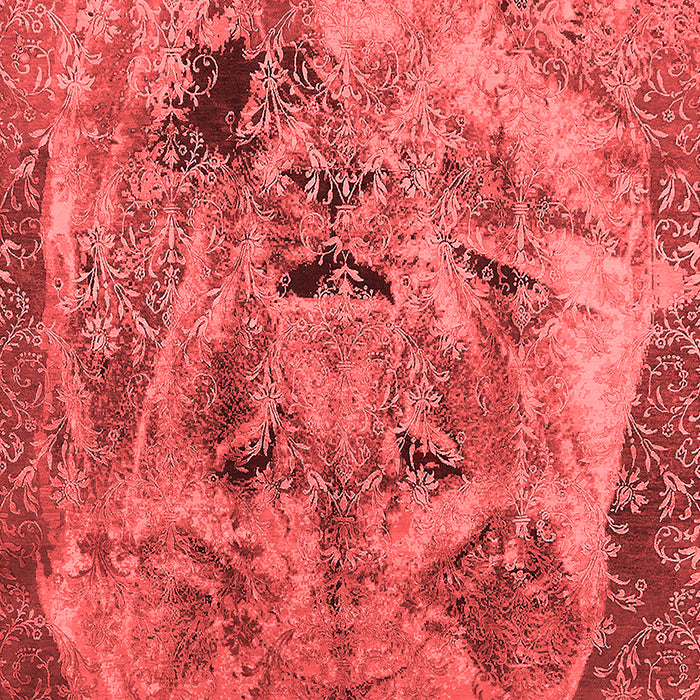 Oriental Red Industrial Area Rugs