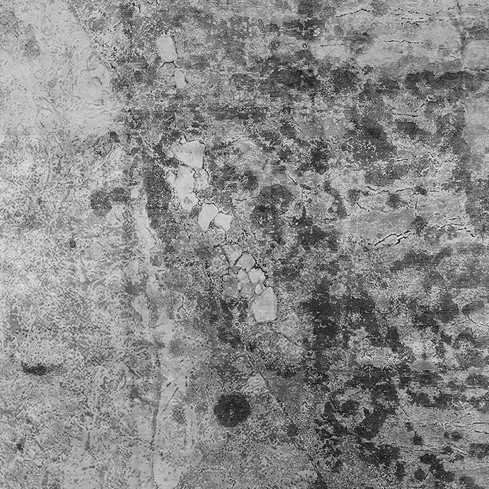 Oriental Gray Industrial Rug, urb1453gry