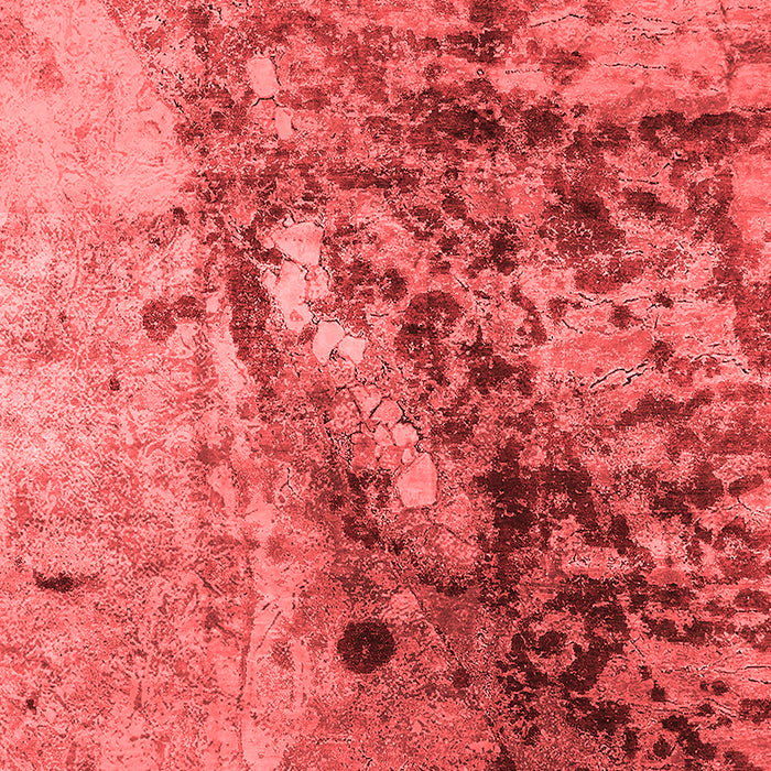 Machine Washable Oriental Red Industrial Rug, wshurb1453red