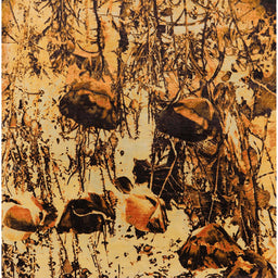 Square Mid-Century Modern Red Oriental Rug, urb1457