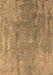 Oriental Brown Industrial Rug, urb1464brn