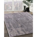 Machine Washable Industrial Modern Silver Pink Rug in a Family Room, wshurb1464