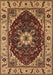 Machine Washable Persian Brown Traditional Rug, wshurb1469brn