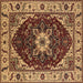 Square Machine Washable Persian Brown Traditional Rug, wshurb1469brn