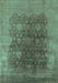 Oriental Turquoise Traditional Rug, urb1478turq