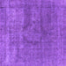 Square Machine Washable Oriental Purple Industrial Area Rugs, wshurb1504pur