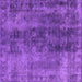 Square Oriental Purple Industrial Rug, urb1505pur