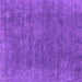 Square Oriental Purple Industrial Rug, urb1508pur