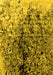 Machine Washable Oriental Yellow Industrial Rug, wshurb1541yw