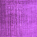 Square Oriental Purple Industrial Rug, urb1566pur