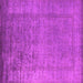 Square Machine Washable Oriental Pink Industrial Rug, wshurb1578pnk