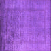 Square Oriental Purple Industrial Rug, urb1578pur