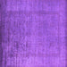 Square Machine Washable Oriental Purple Industrial Area Rugs, wshurb1578pur