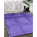 Machine Washable Industrial Modern Purple Rug in a Family Room, wshurb1596
