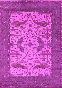 Oriental Pink Industrial Rug, urb1650pnk