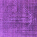 Square Machine Washable Oriental Purple Industrial Area Rugs, wshurb1706pur