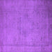 Square Machine Washable Oriental Purple Industrial Area Rugs, wshurb1710pur