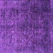 Square Machine Washable Oriental Purple Industrial Area Rugs, wshurb1729pur