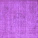 Square Machine Washable Oriental Purple Industrial Area Rugs, wshurb1731pur