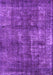 Oriental Purple Industrial Rug, urb1737pur