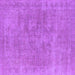 Square Oriental Purple Industrial Rug, urb1751pur