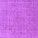 Square Oriental Purple Industrial Rug, urb1755pur