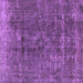 Square Machine Washable Oriental Purple Industrial Area Rugs, wshurb1760pur