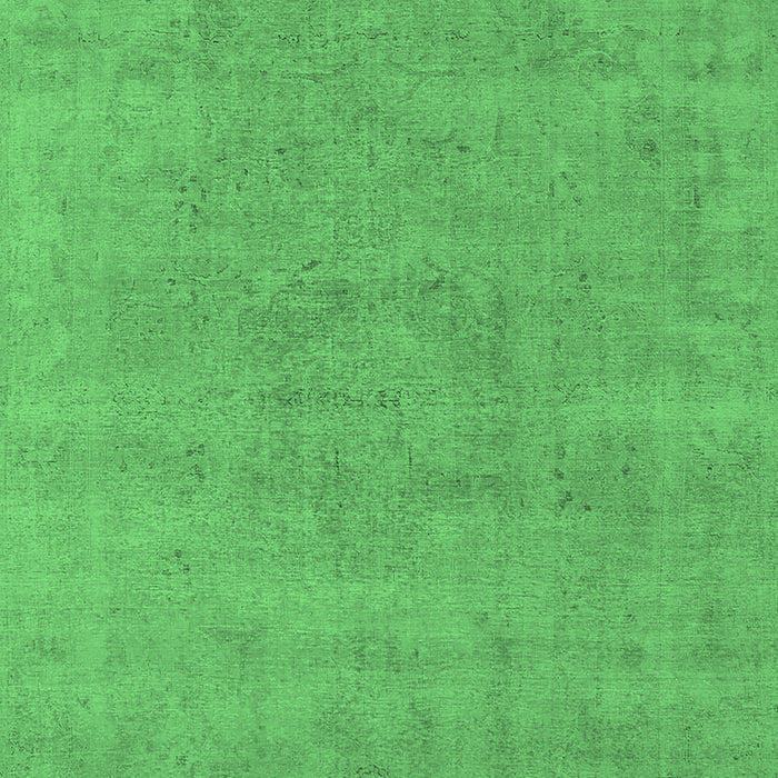 Oriental Emerald Green Industrial Rug, urb1761emgrn