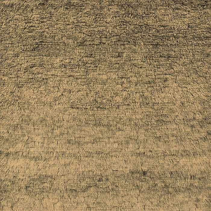 Oriental Brown Industrial Rug, urb1783brn