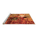 Sideview of Machine Washable Oriental Orange Industrial Area Rugs, wshurb1785org