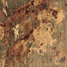 Square Oriental Brown Industrial Rug, urb1787brn