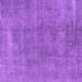 Square Machine Washable Oriental Purple Industrial Area Rugs, wshurb1806pur