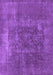 Oriental Purple Industrial Rug, urb1813pur