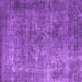 Square Oriental Purple Industrial Rug, urb1832pur