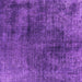 Square Oriental Purple Industrial Rug, urb1837pur