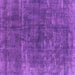 Square Oriental Purple Industrial Rug, urb1852pur