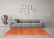 Machine Washable Oriental Orange Industrial Area Rugs in a Living Room, wshurb1858org