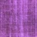 Square Machine Washable Oriental Purple Industrial Area Rugs, wshurb1859pur