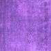 Square Machine Washable Oriental Purple Industrial Area Rugs, wshurb1868pur