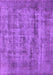 Oriental Purple Industrial Rug, urb1873pur