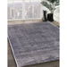 Machine Washable Industrial Modern Silver Gray Rug in a Family Room, wshurb1880