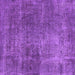 Square Oriental Purple Industrial Rug, urb1881pur