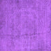 Square Oriental Purple Industrial Rug, urb1883pur