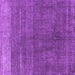 Square Machine Washable Oriental Purple Industrial Area Rugs, wshurb1886pur