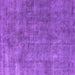 Square Machine Washable Oriental Purple Industrial Area Rugs, wshurb1888pur