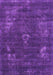 Machine Washable Oriental Purple Industrial Area Rugs, wshurb1891pur