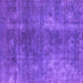 Square Machine Washable Oriental Purple Industrial Area Rugs, wshurb1897pur