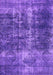 Machine Washable Oriental Purple Industrial Area Rugs, wshurb1901pur