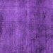 Square Machine Washable Oriental Purple Industrial Area Rugs, wshurb1906pur