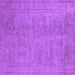 Square Oriental Purple Industrial Rug, urb1909pur